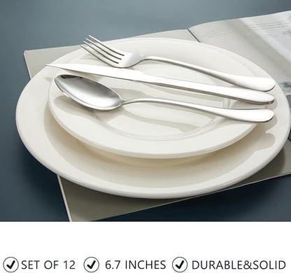 Stainless Steel 12-Piece Teaspoons Set, Table Dessert Spoons Pack for 12 (Silver 6.7 Inches)