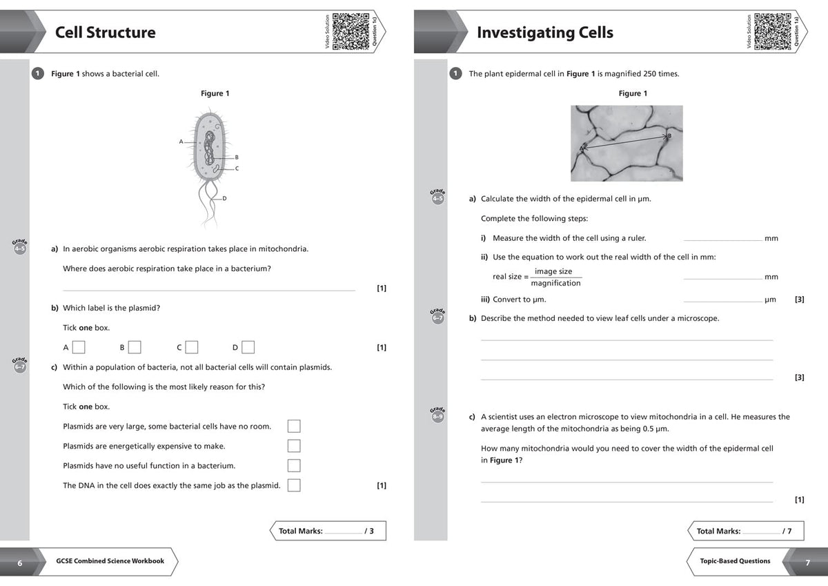 AQA GCSE 9-1 Combined Science Higher Workbook: Ideal for home learning, 2022 and 2023 exams (Collins GCSE Grade 9-1 Revision)