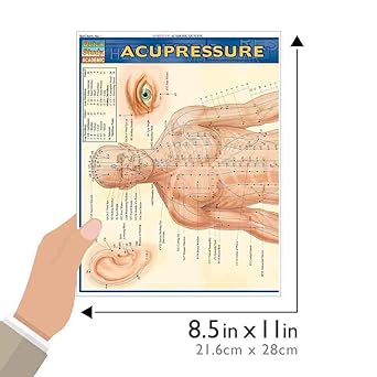 Acupressure Laminated Reference Guide (QuickStudy Academic)
