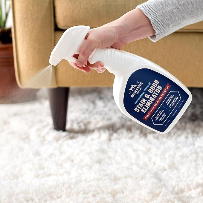 Rocco & Roxie Enzyme Stain & Odor Eliminator, 1 Gallon Bio-enzymatic urine destroyer; CRI Certified Safe; made in USA; for carpets, bedding, litter boxes, crates & cars