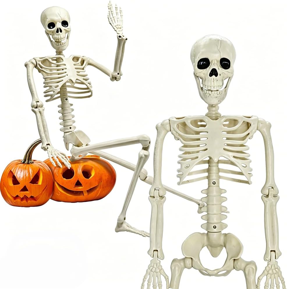 22in/2ft Life Size Posable Skeleton, Plastic Full Body with Movable Joints Skeleton for Halloween Party Prop Graveyard Haunted House Decorations
