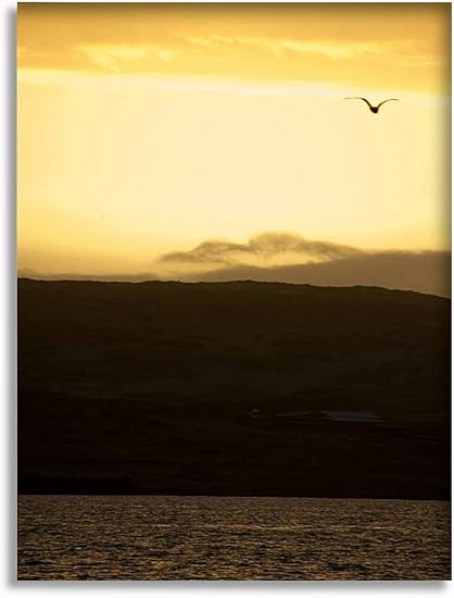Bathroom Wall Art Decor Bathroom Pictures for Wall Artwork Bird the sky Framed Canvas Wall Art for Bedroom Dining Room Farmhouse 16"x20"