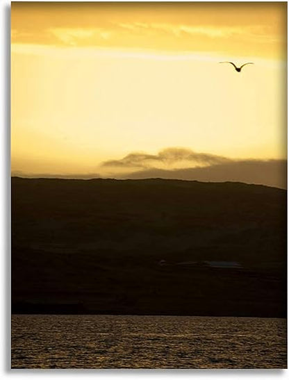 Bathroom Wall Art Decor Bathroom Pictures for Wall Artwork Bird the sky Framed Canvas Wall Art for Bedroom Dining Room Farmhouse 16"x20"