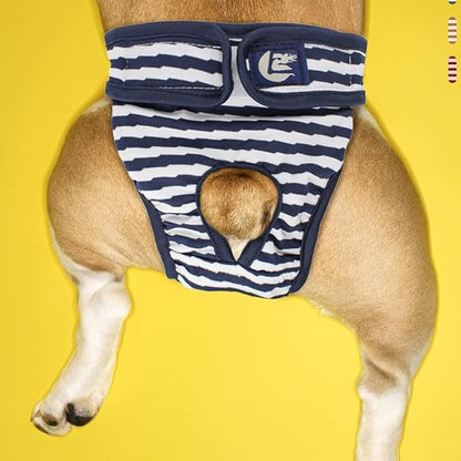 Alasum 1pc Diapers for Dogs Reusable Dog Diapers Cats Diapers Dog Period Diapers Female Puppy Diapers Male Reusable Doggy Diapers Stripe pet Diapers Puppy Panties Dog Shorts The Dog Pants