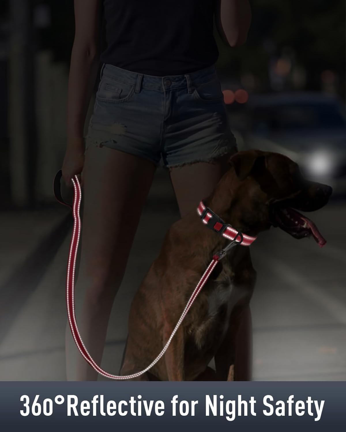 AirTag Dog Collar with AirTag Holder Compatible for Air Tag, Reflective Soft Padded, Safety Locking Buckle, Adjustable Nylon for Small Medium Large Dogs (Red,S) not airtag included