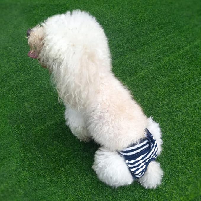 Alasum 1pc Diapers for Dogs Reusable Dog Diapers Cats Diapers Dog Period Diapers Female Puppy Diapers Male Reusable Doggy Diapers Stripe pet Diapers Puppy Panties Dog Shorts The Dog Pants