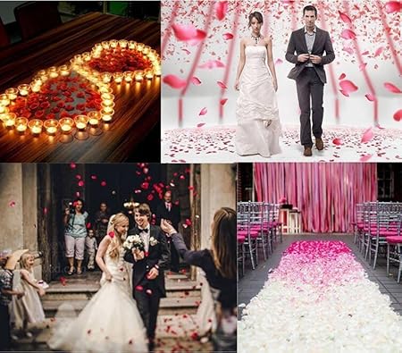 SIWEN Artificial Rose Flower Petals for Valentine's DayWeddingsProposalAnniversaryEngagementParty and Romantic Night Decoration (1000, red)