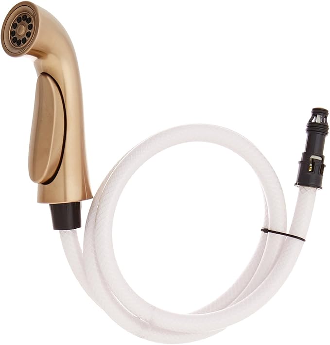 Delta Faucet RP53880CZ Pilar Spray Hose and Diverter Assembly, Champagne Bronze