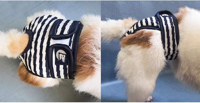 ULTECHNOVO 1pc Reusable Dog Diapers Female Puppy Physiological Pants Washable Dog Diapers Pet Pants Dog Diapers Female Large Dog Period Diapers Female Dog Shorts Kitten