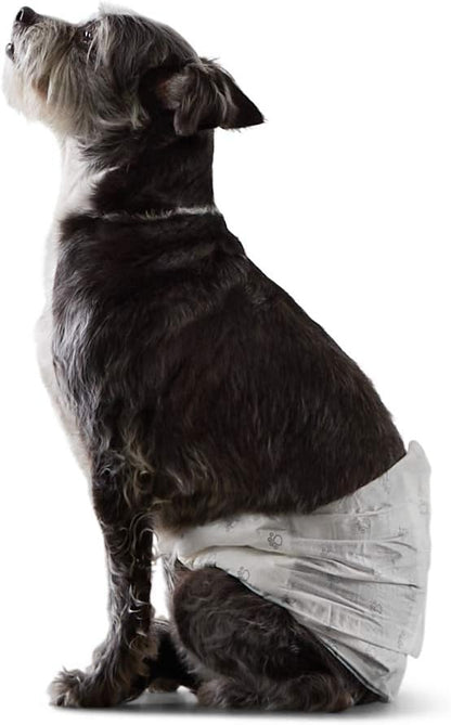 Basics Male Dog Wrap, Disposable Male Dog Diapers, Small, Pack of 30, White