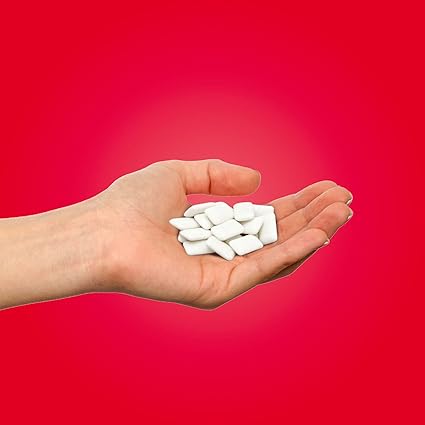 PUR Gum  Aspartame Free Chewing Gum  100 Xylitol  Natural Cinnamon Flavored Gum, 55 Pieces (Pack of 3)