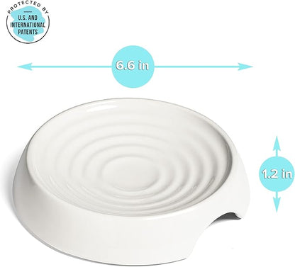 CatGuru Cat Bowls, Whisker Friendly Cat Food Bowl for Indoor Cats, Reliefs Whisker Fatigue, Wide Pet Bowl, Non Slip Pet Feeding Bowls, Shallow Kitten Dish (Set of 2, Ceramic, White)