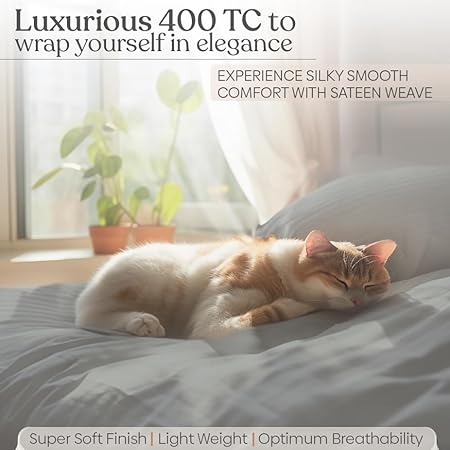 Haus and Kinder King Size Sheets Set, 400 Thread Count Cotton Sheets with Sateen Weave, 4 Piece Set with 15 Deep Pocket (Light Grey)