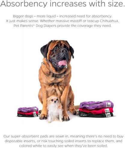 Pet Parents Washable Dog Diapers (3pack)  Extendrs of Durable Doggie Diapers, Premium Dog Diapers Female (Large, Princess)