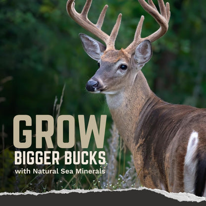 Redmond Trophy Rock - Deer Lick Mineral Salt Rock, Big Game, 10 Lb Natural mineral salt rock, deer lick attractant entices big game with essential trace minerals for antler growth