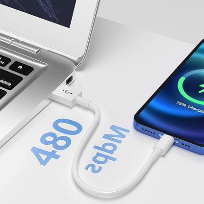Short Apple iPhone 1516 CarPlay Cable - USB A to USB C Car Charger Wire for iPhone 1516 Series, iPad Pro, Air, 10th Gen Charging Cord (1 Ft)