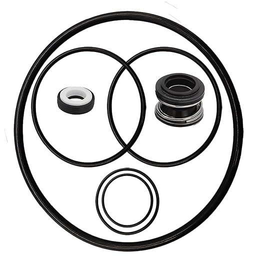Pool Pump Gasket Seal O-Ring Rebuild Repair Kit Fit for Pentair Pool Pump Challenger Go-Kit 5 Including PS-200 Shaft Seal  O-Rings