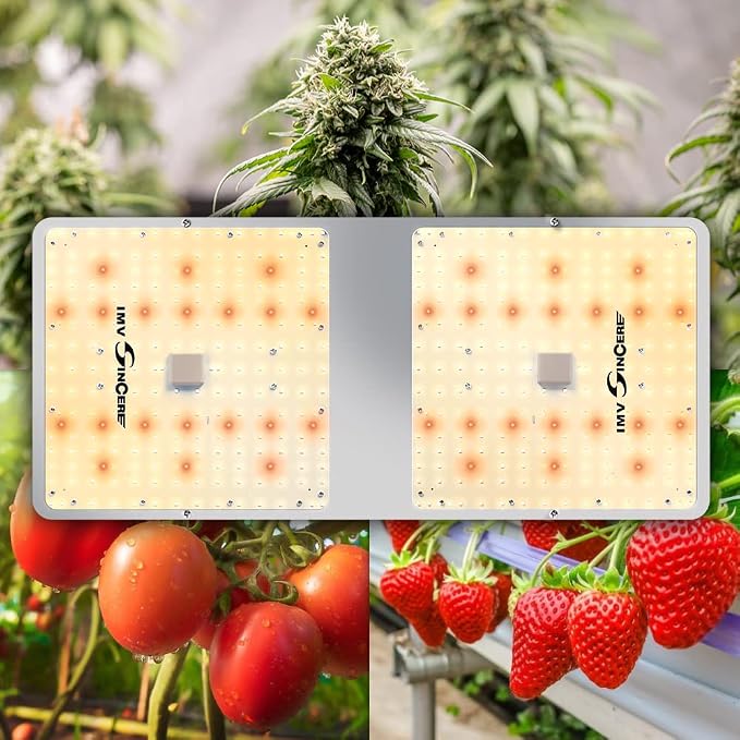 IMVSINCERE LED Grow Lights for Indoor Plants, 200W Full Spectrum Grow Light Seedling, Veg & Bloom, Dimmable Sunlike for Indoor Plants Tents High PPFD ( Doesn't come with Rope Ratchet Hanger-User Manual