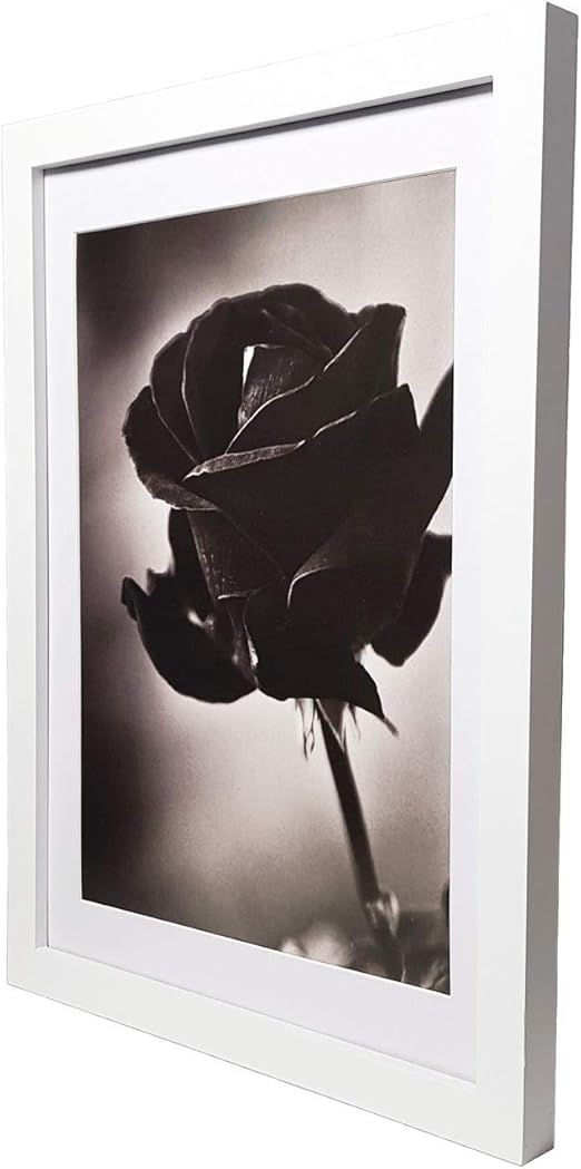 FUNTRESS Large White Picture Frame for Wall Hanging 10x14 Diploma Frame Wooden Living Room Pictures Frame with Mat (10x14 1 Pieces, White)