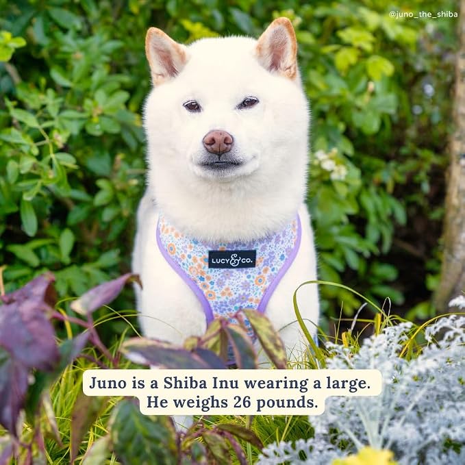 Lucy & Co. Reversible Dog Harness - Water-Repellent Neoprene, Dual-Print Design, Easy Swap Style, Adjustable Comfort Fit - Among Wildflowers Reversible Harness - Medium
