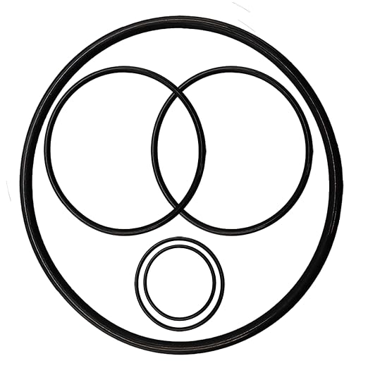 Pool Pump Gasket Seal O-Ring Rebuild Repair Kit Fit for Pentair Pool Pump Challenger Go-Kit 5 Including PS-200 Shaft Seal  O-Rings