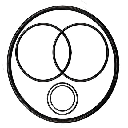 Pool Pump Gasket Seal O-Ring Rebuild Repair Kit Fit for Pentair Pool Pump Challenger Go-Kit 5 Including PS-200 Shaft Seal  O-Rings