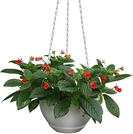 KUMGROT 3 pcs Hanging Basket Chains 15.74 inch Long Hanging Chains for Plants Flower Pot Basket Chains Replacement Plant Hangers for Bird Feeders, Planters and Lanterns Silver
