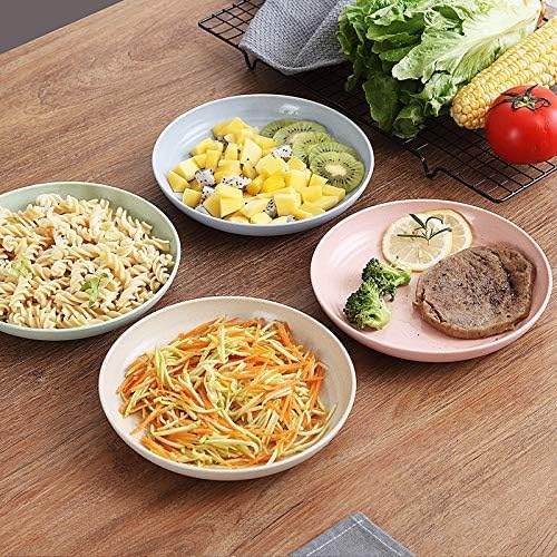 Wheat Straw Plates Plastic Plates Reusable 10 Inch - Microwave Safe Plates for Kitchen Set of 4, Unbreakable Dinner Plates