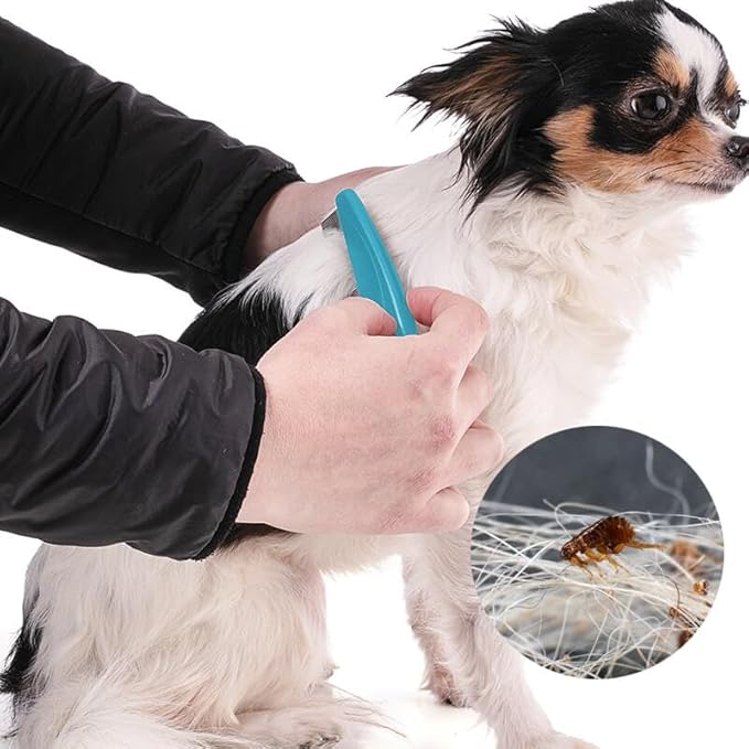 Flea Comb with Rubber Handle, Flea and Tick Combs for Dogs  Cats, Dog Comb for Grooming