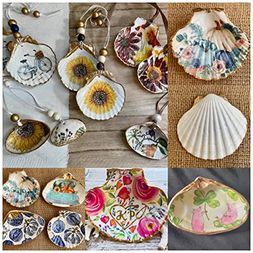 6 PCS Large Scallop Shells 4-5 inch Natural White Scallop Shells from Sea Beach for DIY Craft Decor