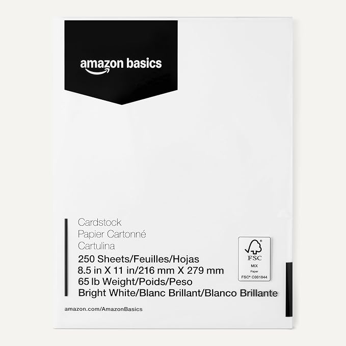 Basics Cardstock Paper, 8.5" x 11", 65 lb/176 gsm, 96 Bright White, 250 Sheets
