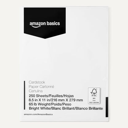 Basics Cardstock Paper, 8.5" x 11", 65 lb/176 gsm, 96 Bright White, 250 Sheets