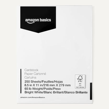 Basics Cardstock Paper, 8.5" x 11", 65 lb/176 gsm, 96 Bright White, 250 Sheets