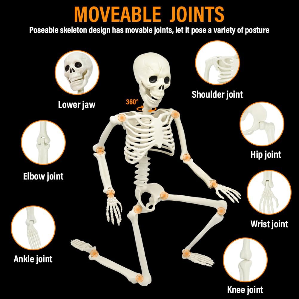 22in/2ft Life Size Posable Skeleton, Plastic Full Body with Movable Joints Skeleton for Halloween Party Prop Graveyard Haunted House Decorations