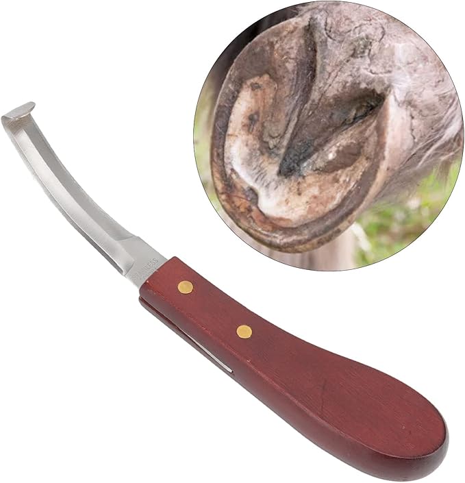Zerodis Hoof Knive Razor, Stainless Steel Double Sided Blade Ergonomic Wooden Handle Hoof Knife Farrier Hoof Loop Knife