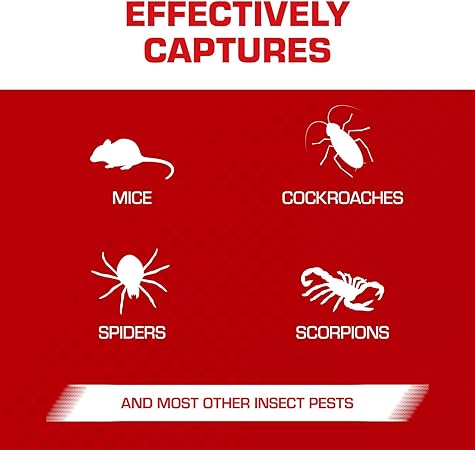 Tomcat Glue Traps Mouse Size with Eugenol for Enhanced Stickiness for Mice, Cockroaches, and Spiders, 6 Traps