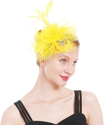 Kentucky Derby Hat for Women 2025 Fascinators Hat Elegant Mesh Feather Headband with Clip Tea Party Hats