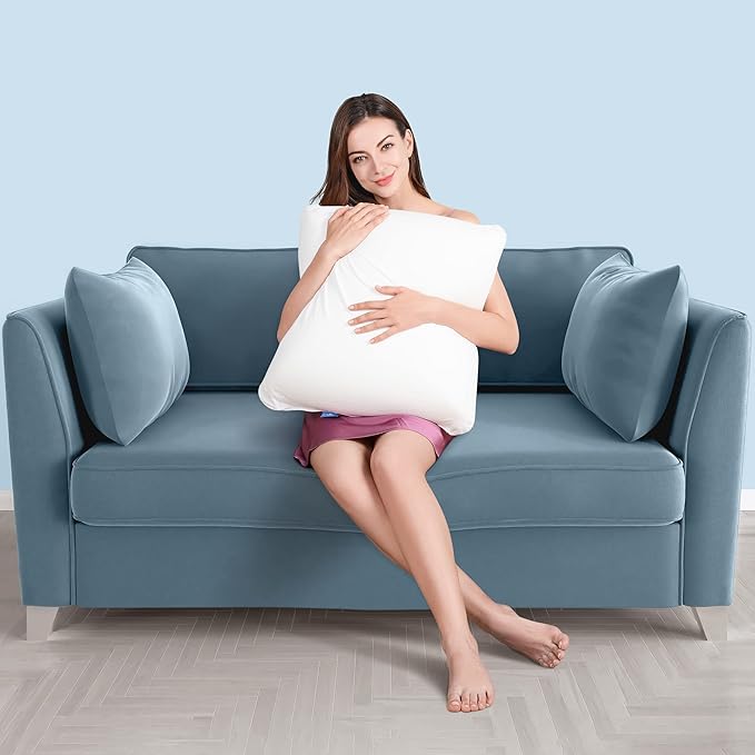 AM AEROMAX 16 16 Throw Pillow Memory Foam Pillow Insert - Square Accent Pillow for Decorative Cushion Bed Couch Sofa - Non-Deforming Over Time
