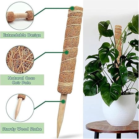 1Pcs Plant Cages Supports Reusable Plant Climbing Stand Can be Used for a Long time Flower Plants Support Holder Balcony Garden Courtyard(50cm)