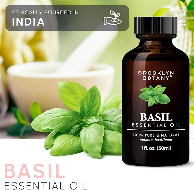 Brooklyn Botany Basil Essential Oil  100 Pure and Natural  Premium Grade Oil with Dropper - for Aromatherapy and Diffuser - 1 Fl Oz