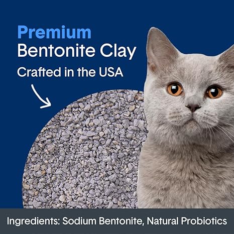 Boxie Probiotic Cat Litter, 40-Day Odor Control, Clumping Clay, 16lb