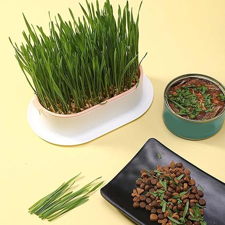 Cat Grass Planter,Cat Grass Growing Kit, Hydroponic Catnip Wheatgrass Seed Sprout Tray, Nursery Pet Plant Planting Box for Indoor (D)
