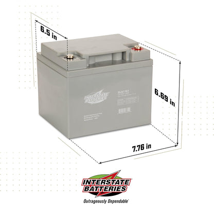 Interstate Batteries 12V 44Ah Battery (Insert Terminal) SLA AGM VRLA Rechargeable Replacement for UPS Backup Power, Fire & Security, Emergency Lighting (SLA1161) (cosmetic scratches)