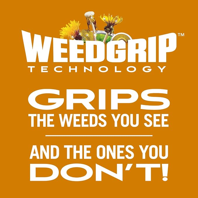Scotts Turf Builder WinterGuard Fall Weed & Feed 3, 5,000 sq. ft.