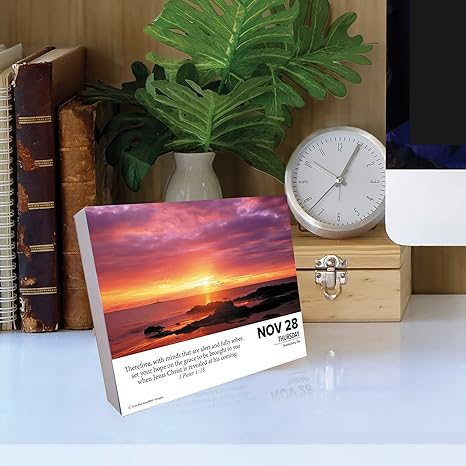 Willow Creek Press Bible Verses Daily 2024 BoxDesk Calendar (5.86" x 4.72")