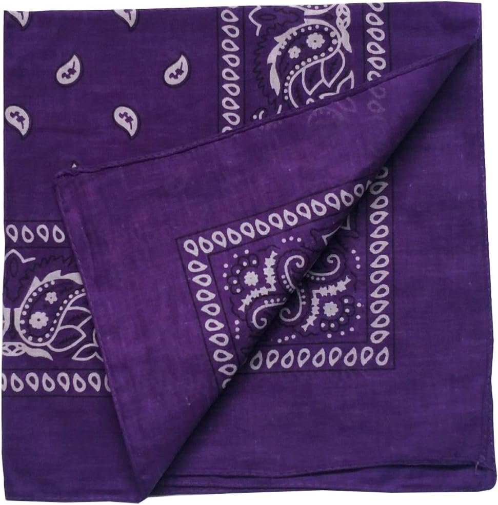 Combocube Cotton Paisley Bandanas, 12 Pack