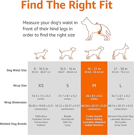Basics Male Dog Diapers, 30 Count, Medium, Ultra Absorbent Disposable Wrap with Secure Fit, Leakproof and Comfortable