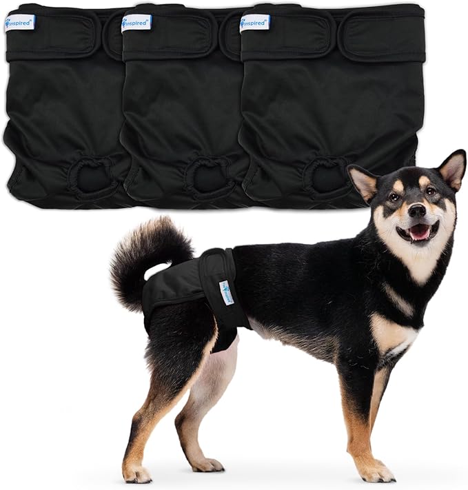 Paw Inspired Washable Dog Diapers (3 Pack) | Reusable Cloth Doggy Diapers for Female (Black with Black Lining, Size Medium)
