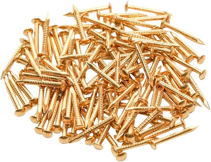 100 Pcs Tiny Brass Nails, Decorative Wooden Nails for DIY Craft Projects(1.2x12mm)