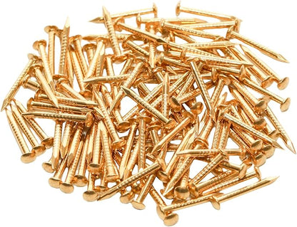 100 Pcs Tiny Brass Nails, Decorative Wooden Nails for DIY Craft Projects(1.2x12mm)